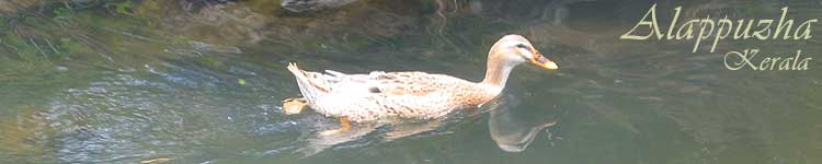 Munnar